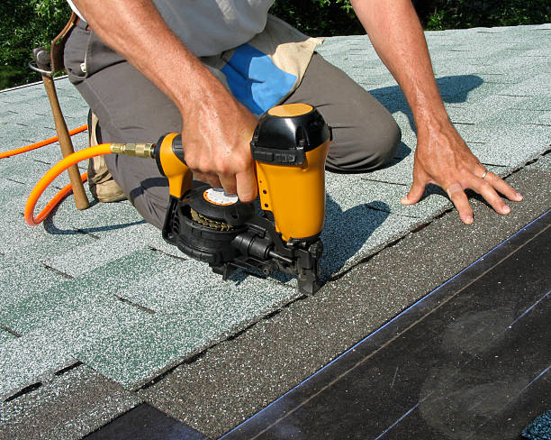 Roof Gutter Cleaning in Lealman, FL