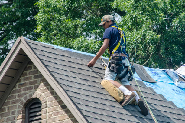 Roof Gutter Cleaning in Lealman, FL